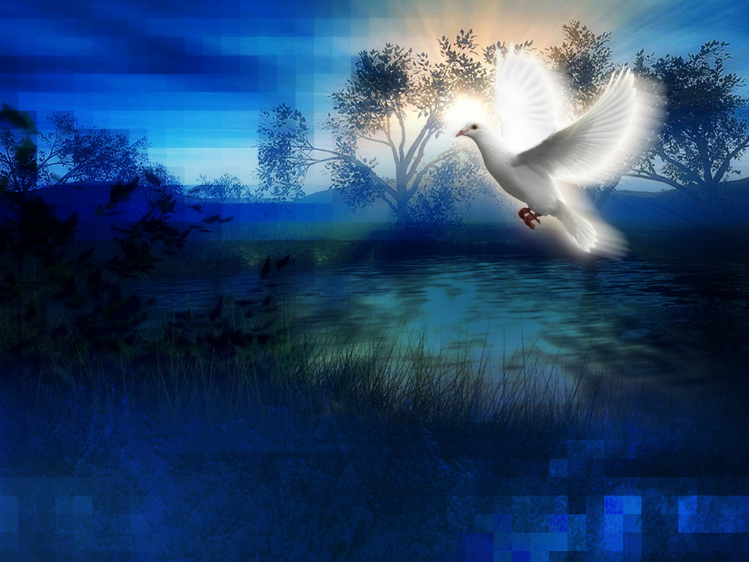 Slideshow image